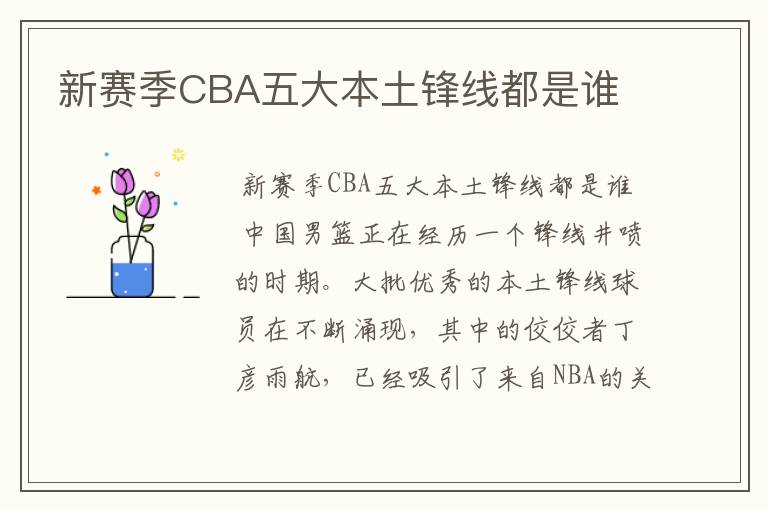 新赛季CBA五大本土锋线都是谁