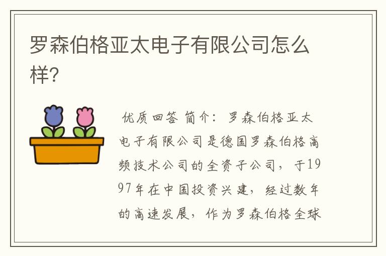 罗森伯格亚太电子有限公司怎么样？