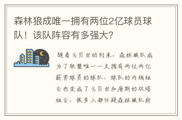 森林狼成唯一拥有两位2亿球员球队！该队阵容有多强大？