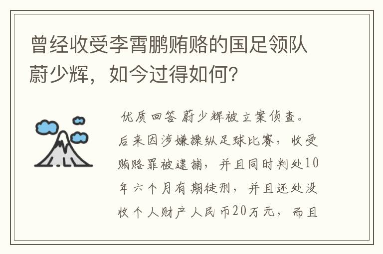 曾经收受李霄鹏贿赂的国足领队蔚少辉，如今过得如何？