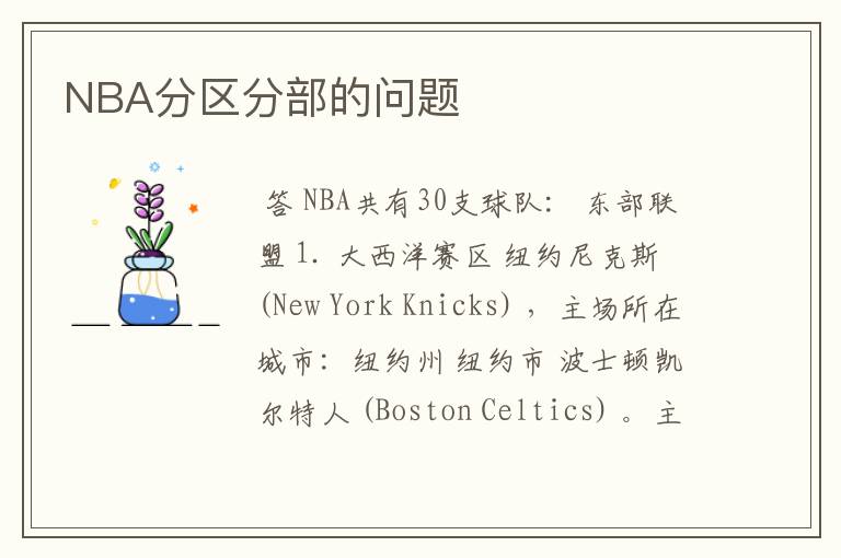 NBA分区分部的问题