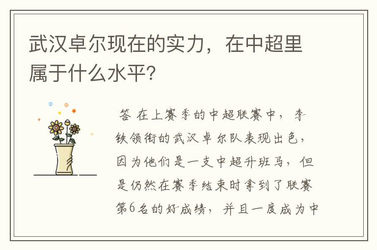 武汉卓尔现在的实力，在中超里属于什么水平？