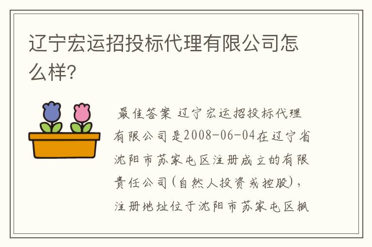 辽宁宏运招投标代理有限公司怎么样？