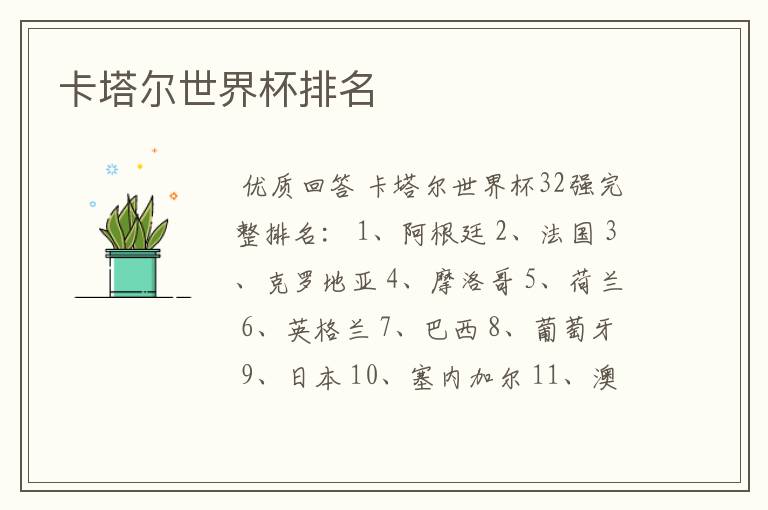 卡塔尔世界杯排名