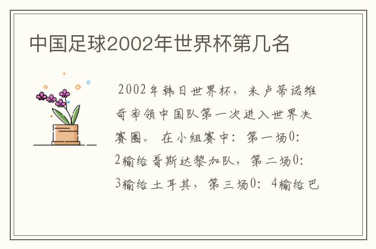 中国足球2002年世界杯第几名