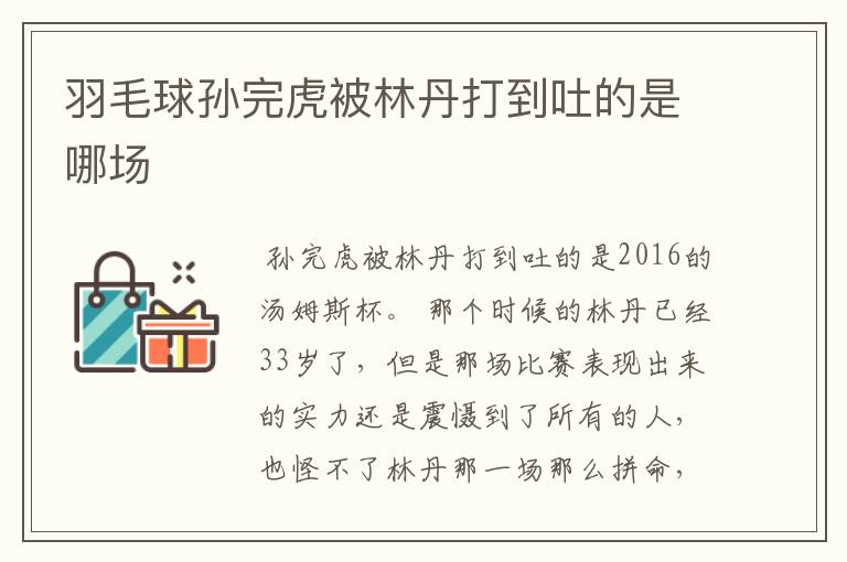 羽毛球孙完虎被林丹打到吐的是哪场