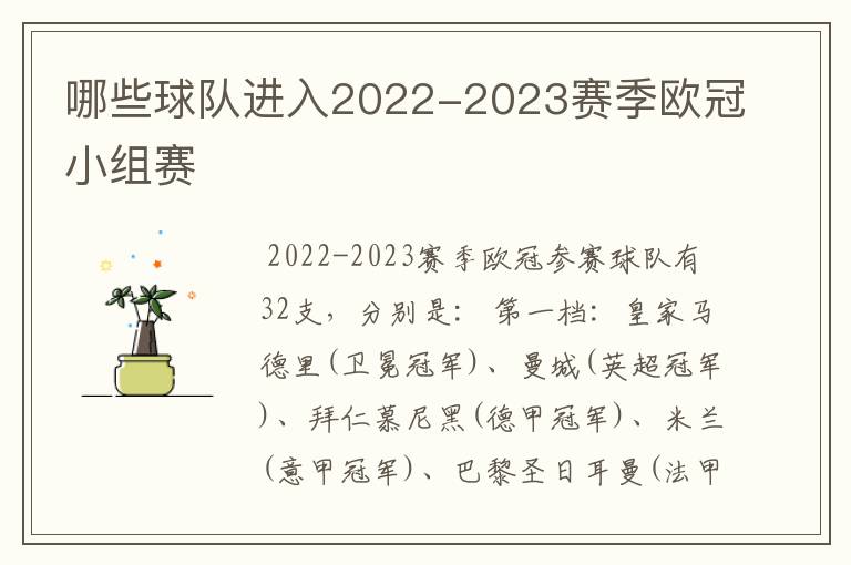 哪些球队进入2022-2023赛季欧冠小组赛