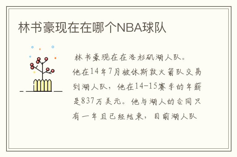 林书豪现在在哪个NBA球队