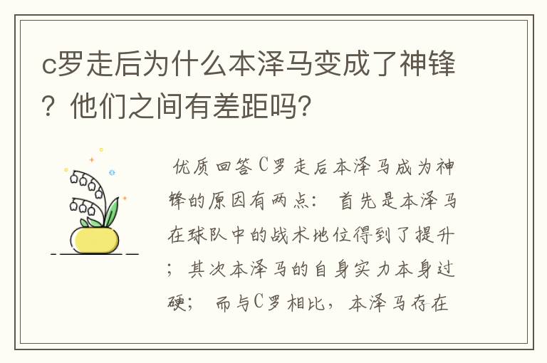 c罗走后为什么本泽马变成了神锋？他们之间有差距吗？