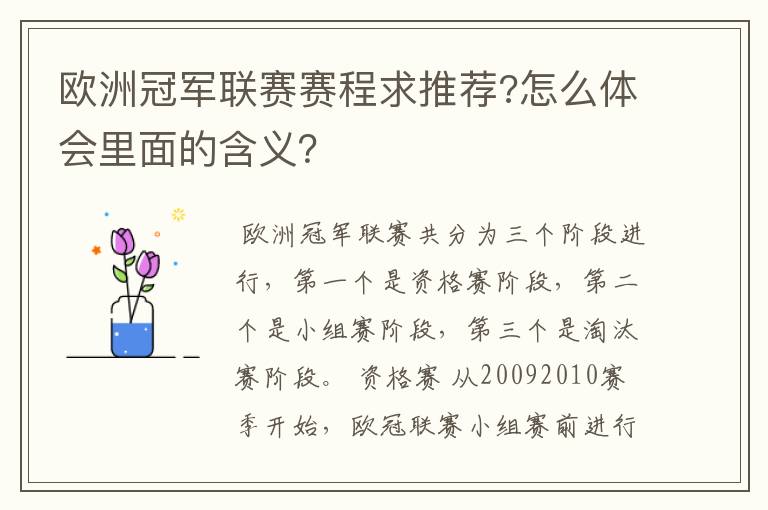 欧洲冠军联赛赛程求推荐?怎么体会里面的含义？