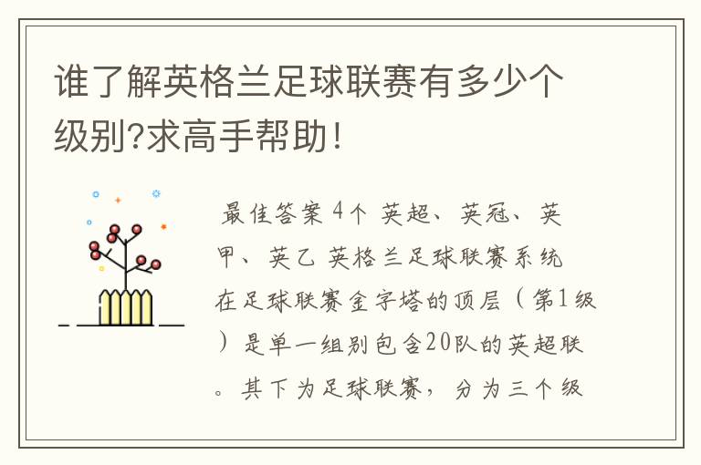 谁了解英格兰足球联赛有多少个级别?求高手帮助！