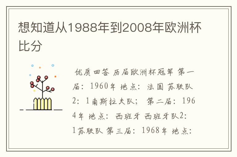 想知道从1988年到2008年欧洲杯比分