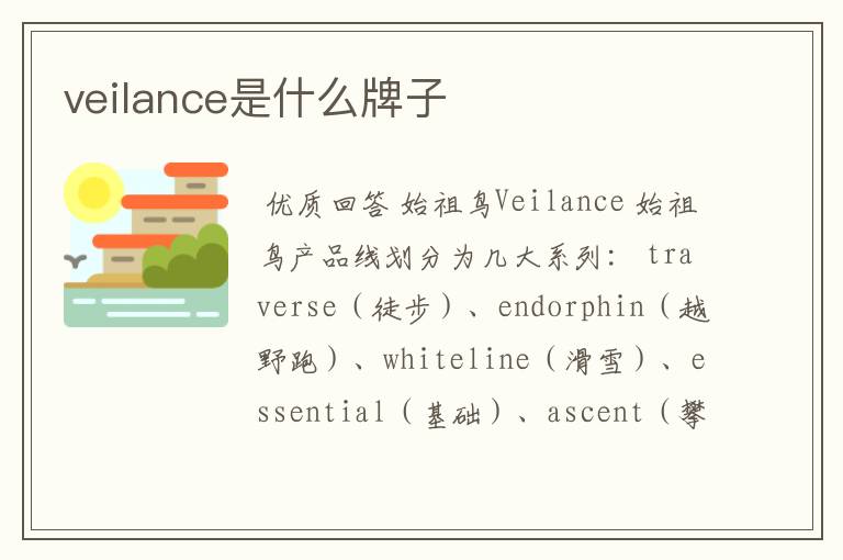 veilance是什么牌子