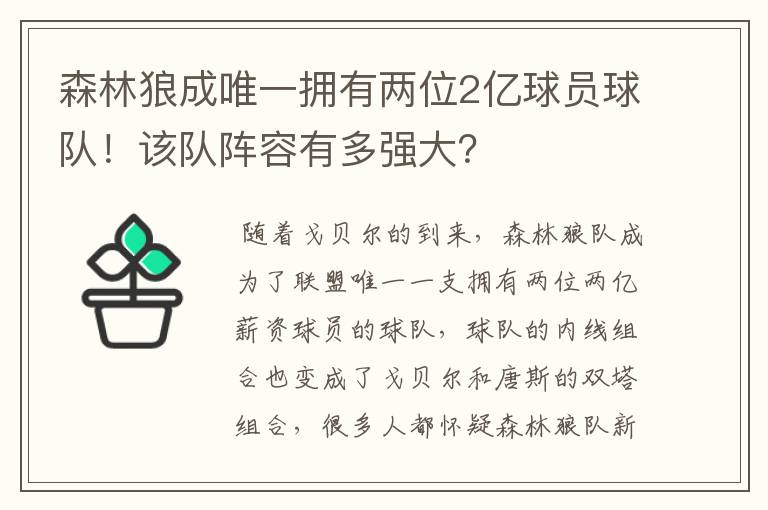 森林狼成唯一拥有两位2亿球员球队！该队阵容有多强大？