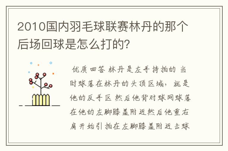 2010国内羽毛球联赛林丹的那个后场回球是怎么打的？