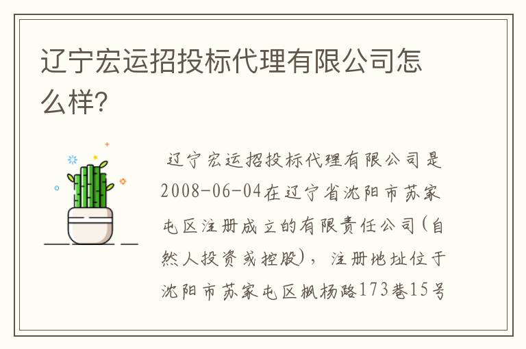 辽宁宏运招投标代理有限公司怎么样？