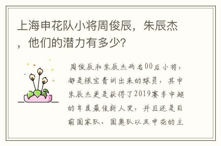 上海申花队小将周俊辰，朱辰杰，他们的潜力有多少？