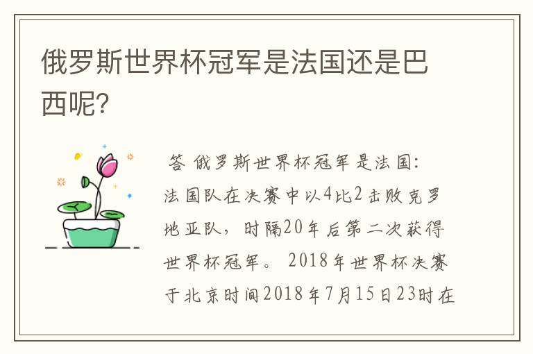 俄罗斯世界杯冠军是法国还是巴西呢？