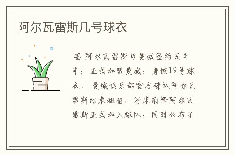 阿尔瓦雷斯几号球衣