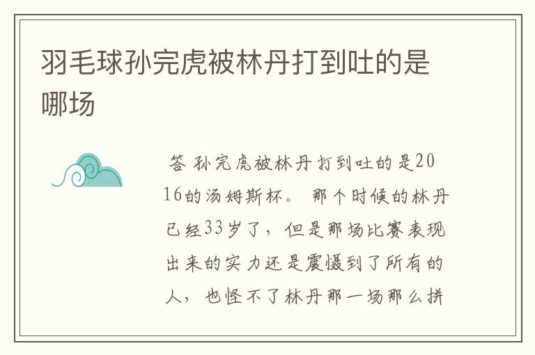 羽毛球孙完虎被林丹打到吐的是哪场