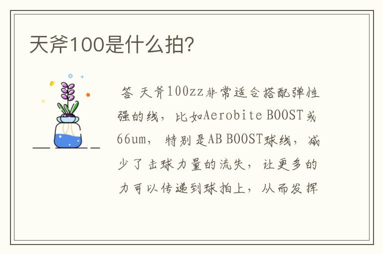 天斧100是什么拍？