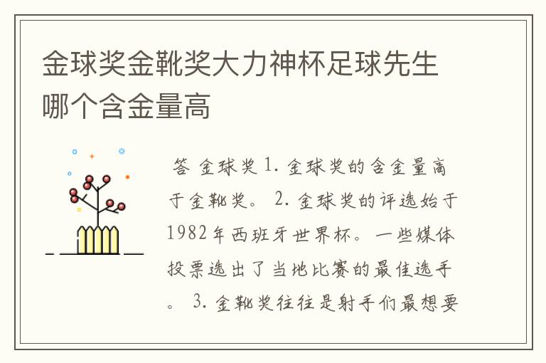 金球奖金靴奖大力神杯足球先生哪个含金量高