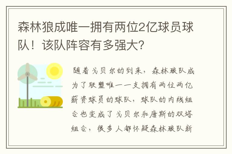 森林狼成唯一拥有两位2亿球员球队！该队阵容有多强大？