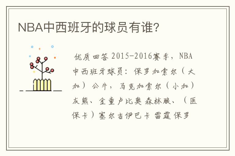 NBA中西班牙的球员有谁?