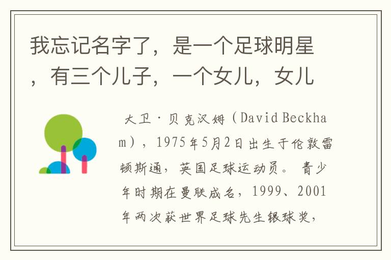 我忘记名字了，是一个足球明星，有三个儿子，一个女儿，女儿还特别小，外界称足球明星的老婆是时尚辣妈。