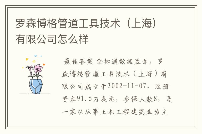 罗森博格管道工具技术（上海）有限公司怎么样