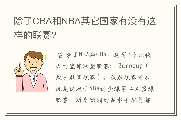 除了CBA和NBA其它国家有没有这样的联赛?