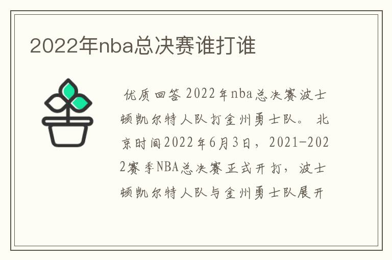 2022年nba总决赛谁打谁