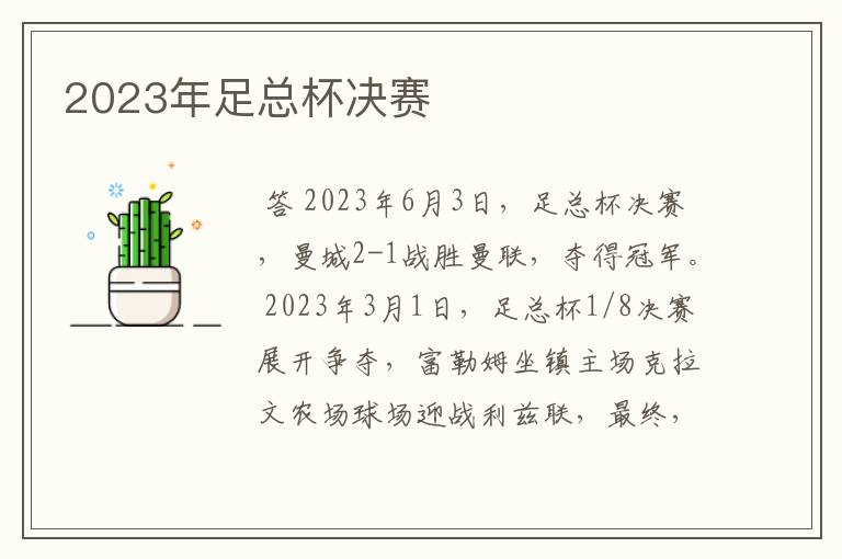 2023年足总杯决赛