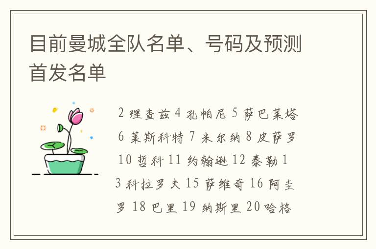 目前曼城全队名单、号码及预测首发名单