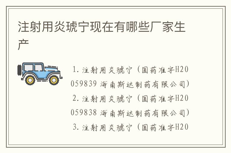 注射用炎琥宁现在有哪些厂家生产