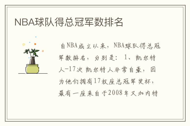 NBA球队得总冠军数排名