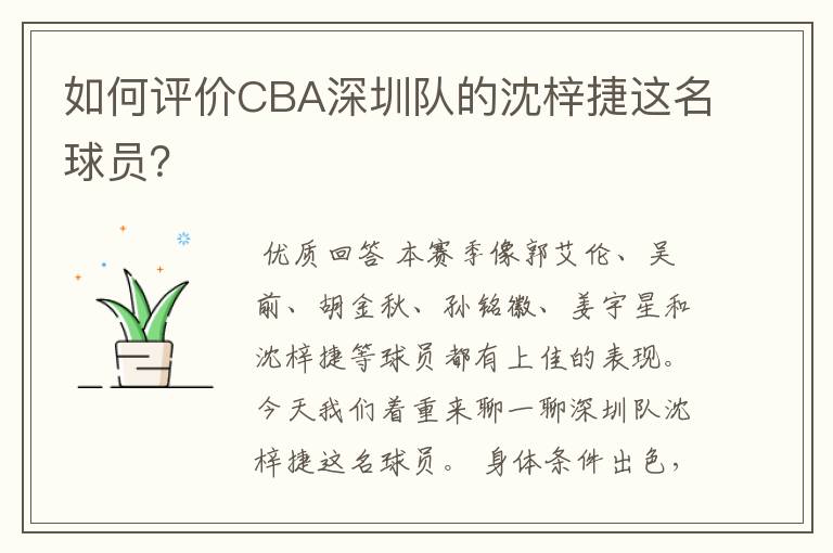 如何评价CBA深圳队的沈梓捷这名球员？