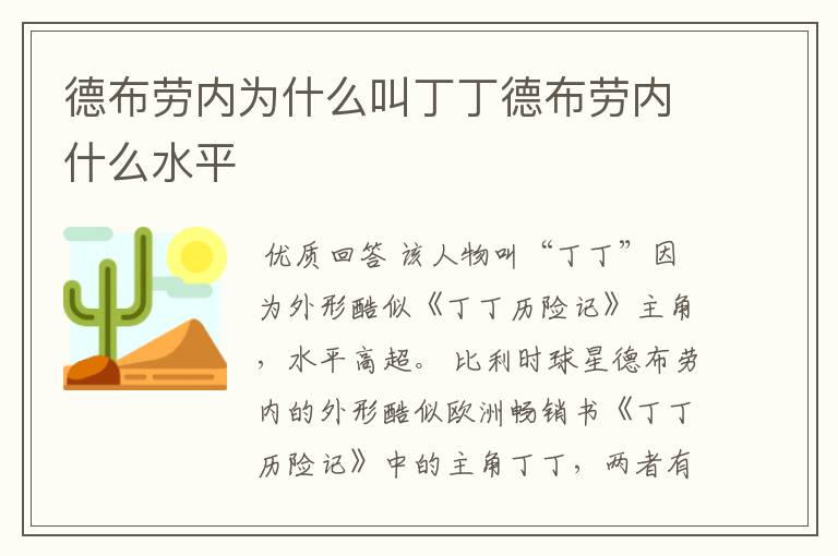 德布劳内为什么叫丁丁德布劳内什么水平