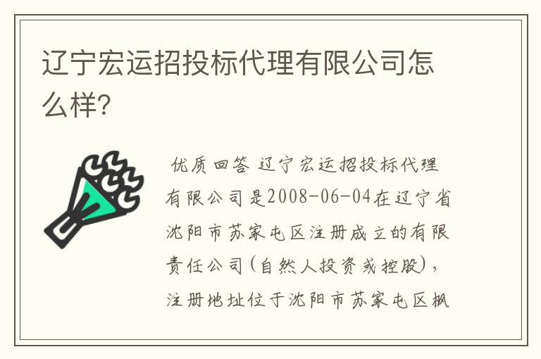 辽宁宏运招投标代理有限公司怎么样？