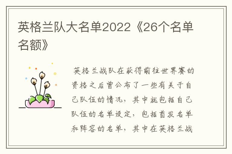 英格兰队大名单2022《26个名单名额》