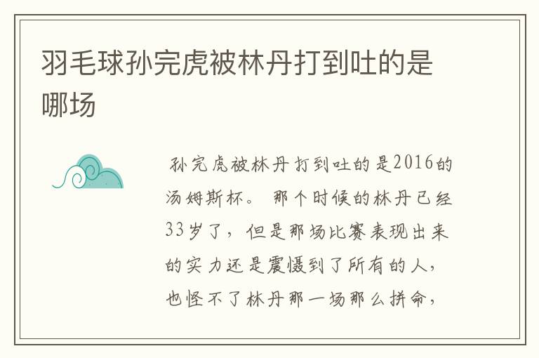 羽毛球孙完虎被林丹打到吐的是哪场