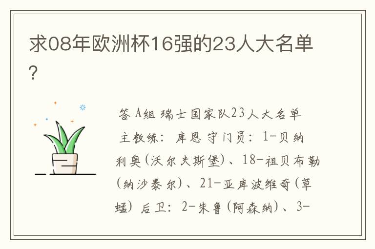 求08年欧洲杯16强的23人大名单？