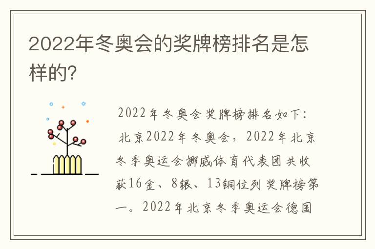 2022年冬奥会的奖牌榜排名是怎样的？