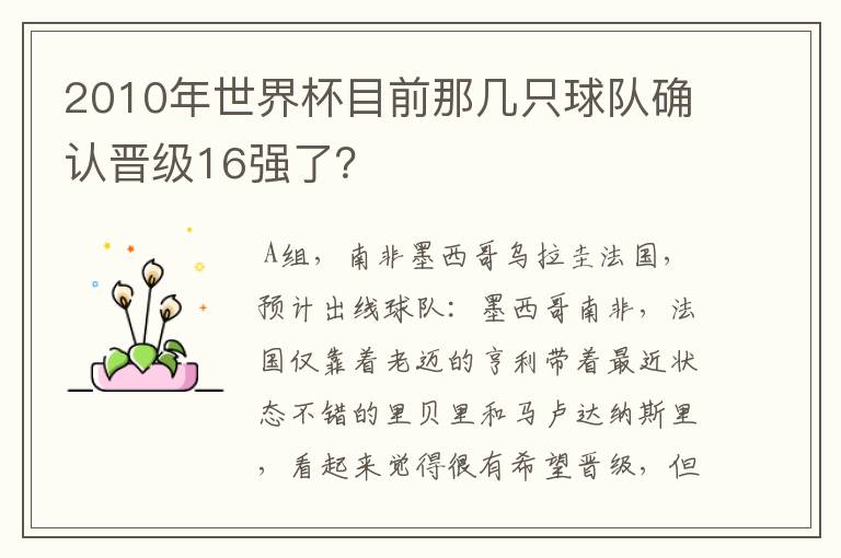 2010年世界杯目前那几只球队确认晋级16强了？