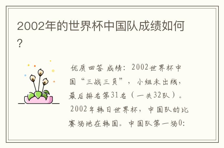 2002年的世界杯中国队成绩如何？