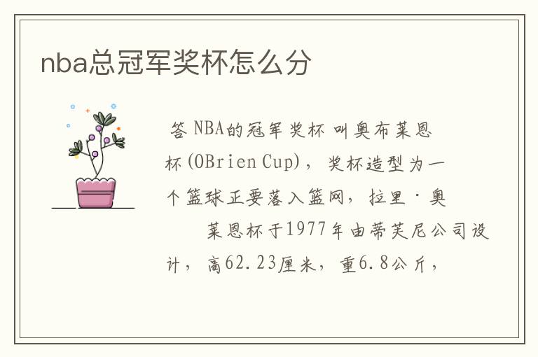 nba总冠军奖杯怎么分