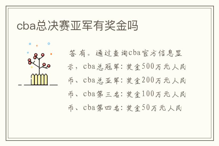 cba总决赛亚军有奖金吗