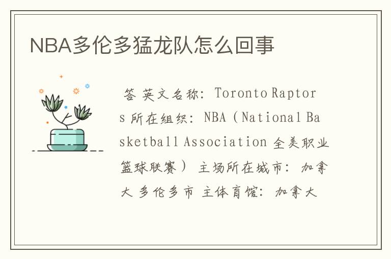 NBA多伦多猛龙队怎么回事