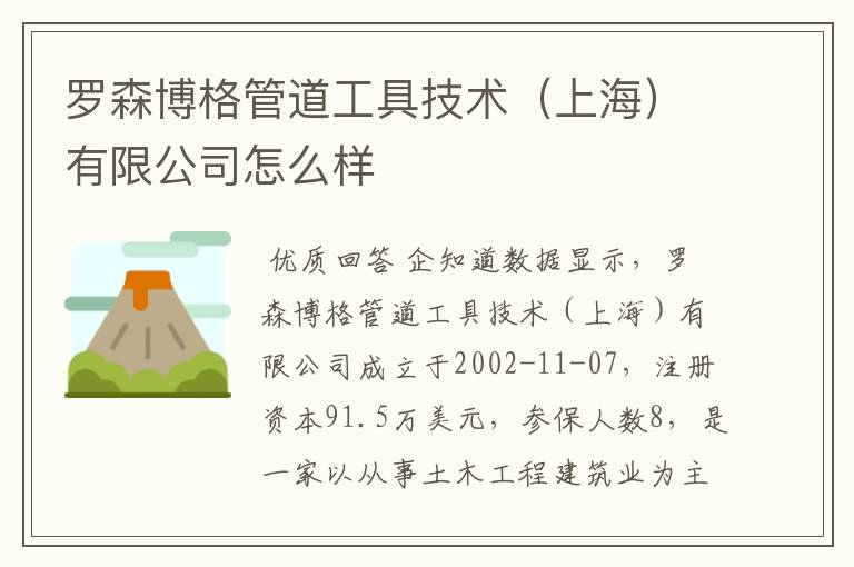 罗森博格管道工具技术（上海）有限公司怎么样