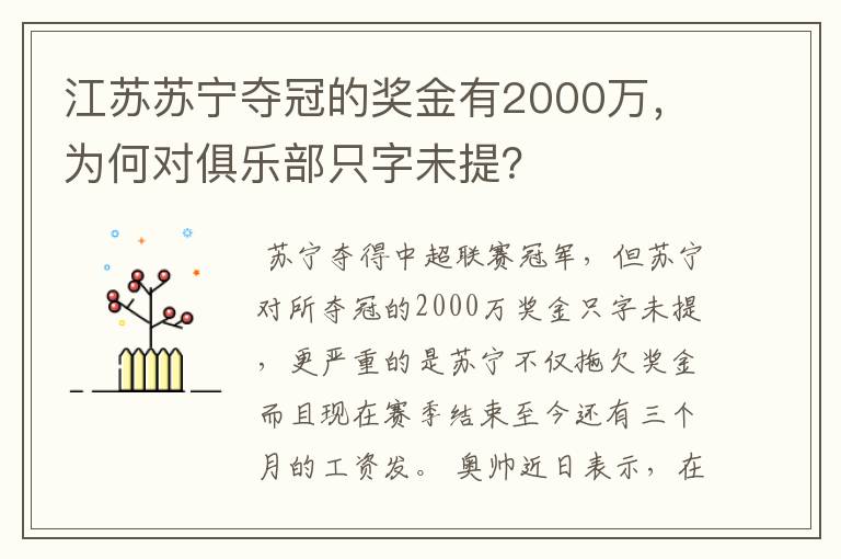 江苏苏宁夺冠的奖金有2000万，为何对俱乐部只字未提？